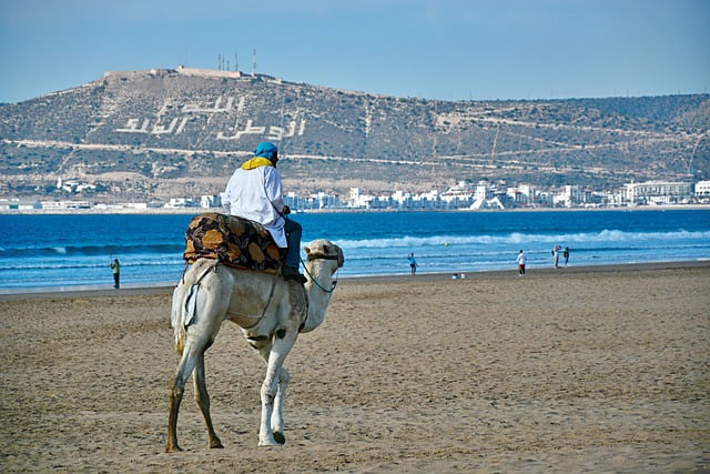 Vue panoramique de la plage d'Agadir avec son sable doré et ses eaux calmes.